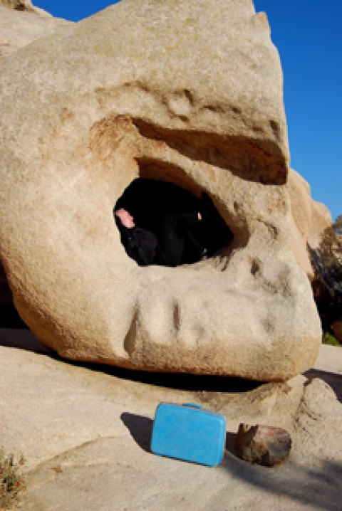 joshua tree 3