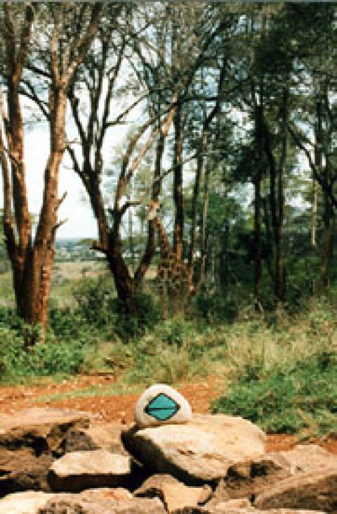 Kenya 21